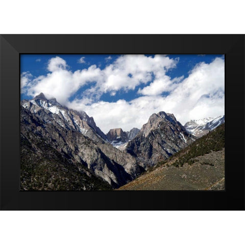 High Sierra Spring Black Modern Wood Framed Art Print by Taylor, Douglas