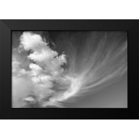 Clouds over Kitt Peak BW I Black Modern Wood Framed Art Print by Taylor, Douglas