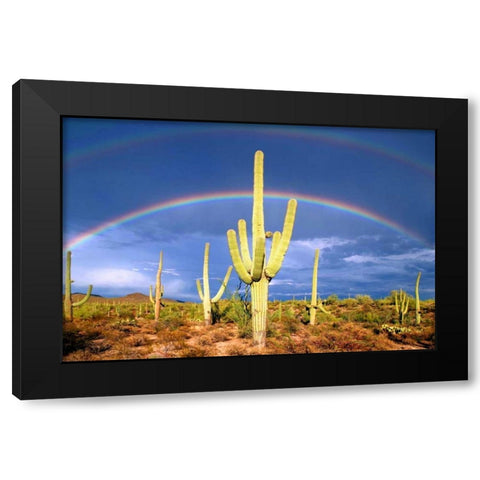 Desert Blessing I Black Modern Wood Framed Art Print by Taylor, Douglas