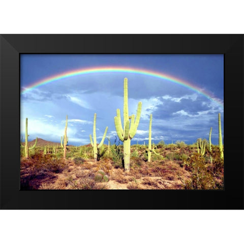 Desert Blessing II Black Modern Wood Framed Art Print by Taylor, Douglas