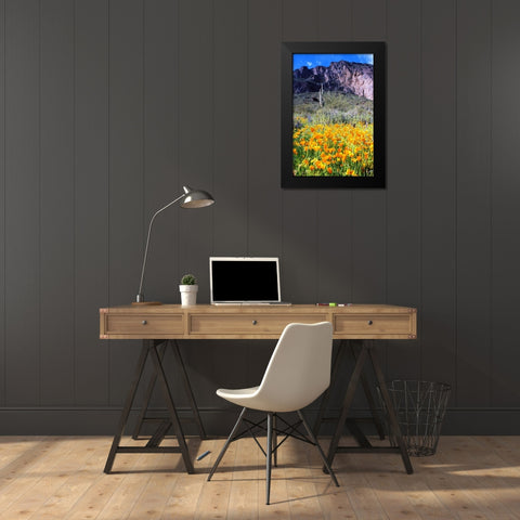Picacho Peak Wildflowers Black Modern Wood Framed Art Print by Taylor, Douglas