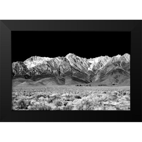 Owens Valley BW Black Modern Wood Framed Art Print by Taylor, Douglas