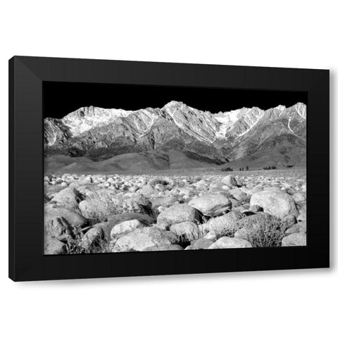 Independence Morning BW Black Modern Wood Framed Art Print by Taylor, Douglas