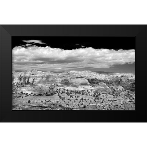 Slick Rock County BW Black Modern Wood Framed Art Print by Taylor, Douglas