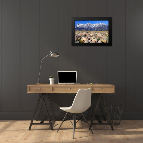 Independence Morning Black Modern Wood Framed Art Print by Taylor, Douglas