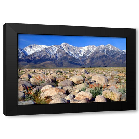 Independence Morning Black Modern Wood Framed Art Print by Taylor, Douglas