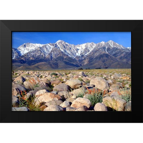 Independence Morning Black Modern Wood Framed Art Print by Taylor, Douglas