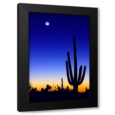 Winter Earthshine Black Modern Wood Framed Art Print by Taylor, Douglas