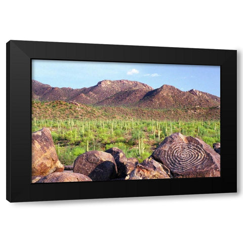 Signal Hill Black Modern Wood Framed Art Print with Double Matting by Taylor, Douglas