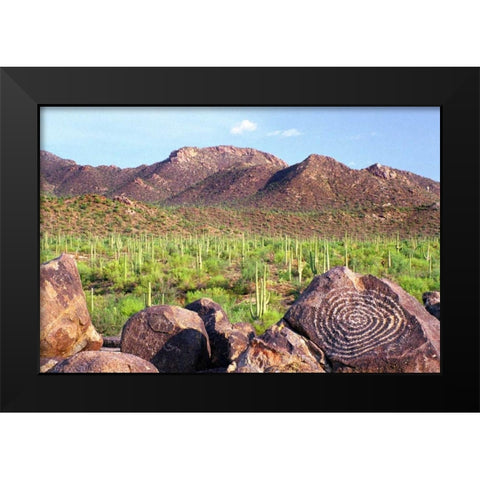 Signal Hill Black Modern Wood Framed Art Print by Taylor, Douglas