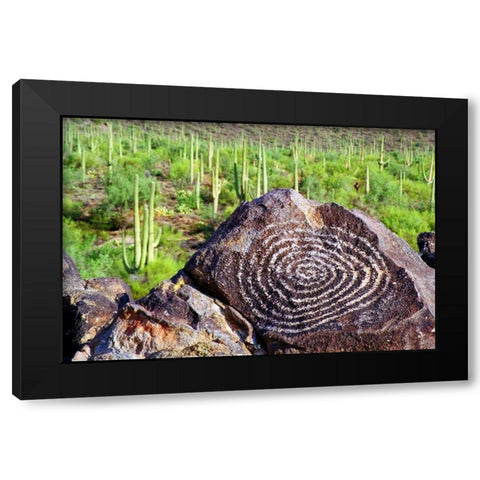 Hohokam Petroglyph Black Modern Wood Framed Art Print with Double Matting by Taylor, Douglas