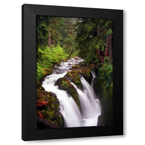 Sol Duc River Falls Black Modern Wood Framed Art Print with Double Matting by Taylor, Douglas