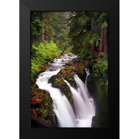 Sol Duc River Falls Black Modern Wood Framed Art Print by Taylor, Douglas