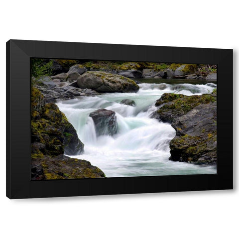 Salmon Cascades Black Modern Wood Framed Art Print by Taylor, Douglas