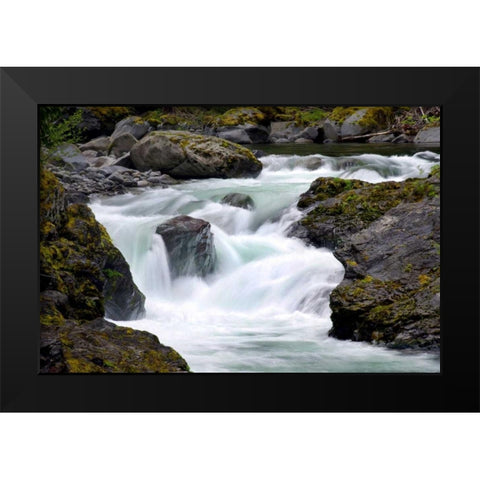 Salmon Cascades Black Modern Wood Framed Art Print by Taylor, Douglas