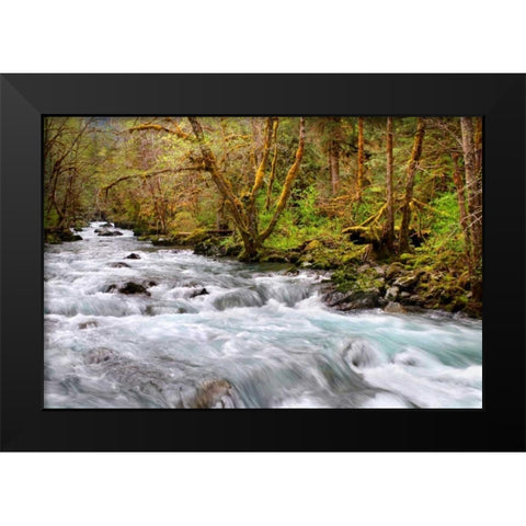 Rainforest River I Black Modern Wood Framed Art Print by Taylor, Douglas