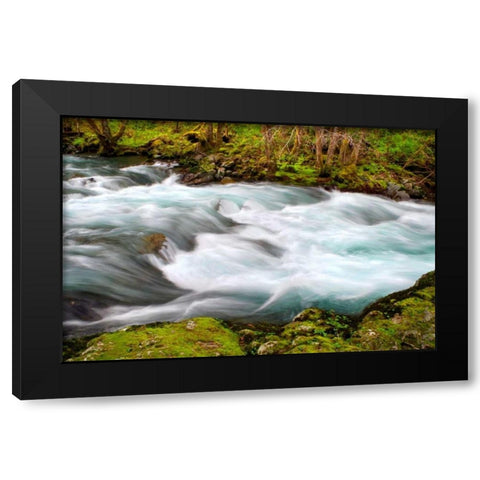 Rainforest River II Black Modern Wood Framed Art Print with Double Matting by Taylor, Douglas