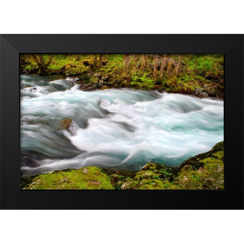 Rainforest River II Black Modern Wood Framed Art Print by Taylor, Douglas