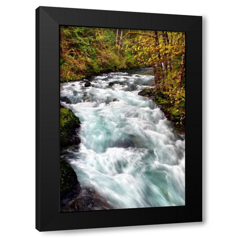 Hamma Hamma River Black Modern Wood Framed Art Print by Taylor, Douglas