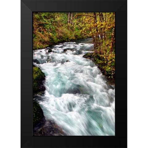 Hamma Hamma River Black Modern Wood Framed Art Print by Taylor, Douglas