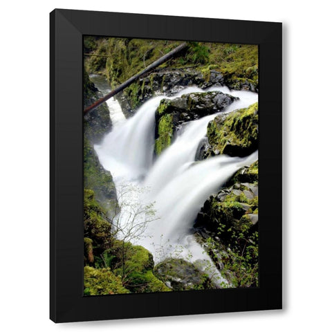 Sol Duc Falls I Black Modern Wood Framed Art Print by Taylor, Douglas