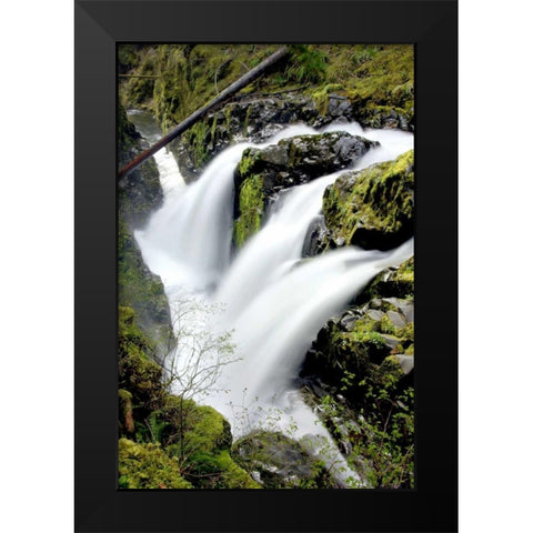 Sol Duc Falls I Black Modern Wood Framed Art Print by Taylor, Douglas