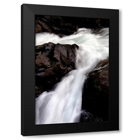 Sol Duc Falls II Black Modern Wood Framed Art Print by Taylor, Douglas