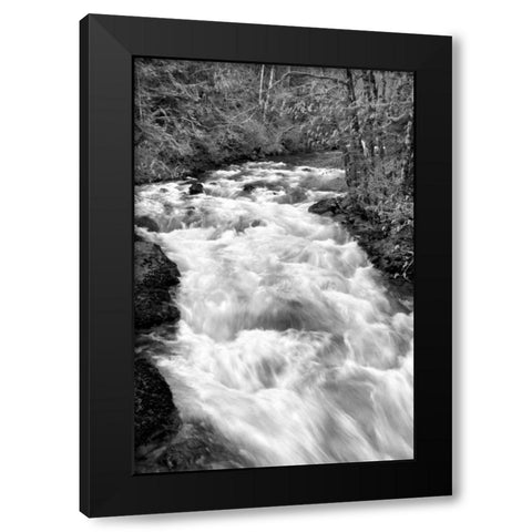 Hamma Hamma River BW Black Modern Wood Framed Art Print with Double Matting by Taylor, Douglas