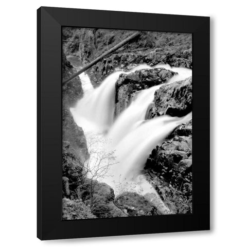 Sol Duc Falls I BW Black Modern Wood Framed Art Print by Taylor, Douglas