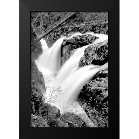 Sol Duc Falls I BW Black Modern Wood Framed Art Print by Taylor, Douglas