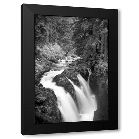 Sol Duc River Falls BW Black Modern Wood Framed Art Print with Double Matting by Taylor, Douglas