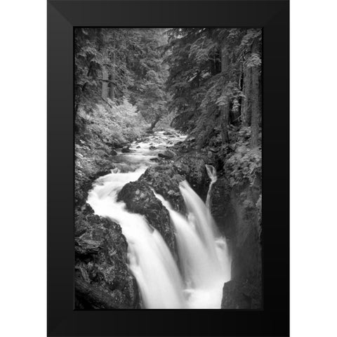 Sol Duc River Falls BW Black Modern Wood Framed Art Print by Taylor, Douglas