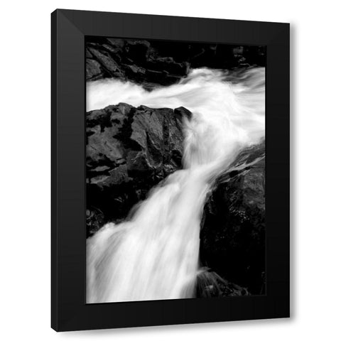 Sol Duc River II BW Black Modern Wood Framed Art Print by Taylor, Douglas