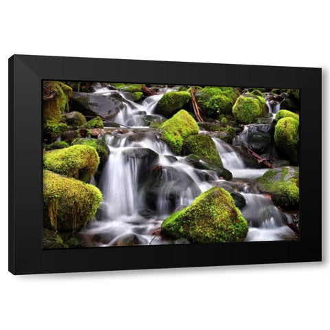 Trailside Stream Black Modern Wood Framed Art Print with Double Matting by Taylor, Douglas