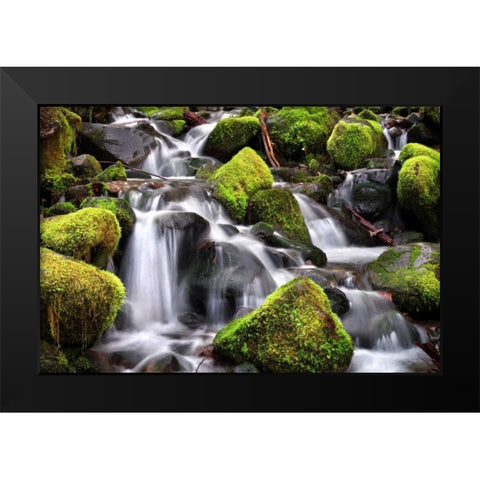 Trailside Stream Black Modern Wood Framed Art Print by Taylor, Douglas