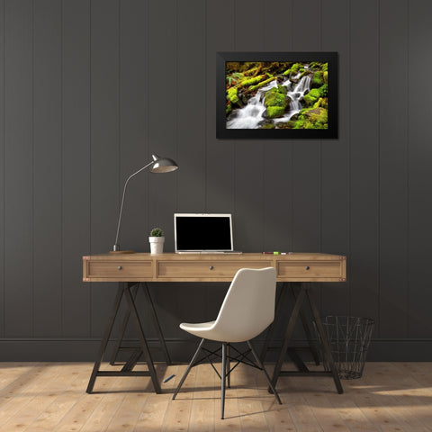 Forest Stream Black Modern Wood Framed Art Print by Taylor, Douglas