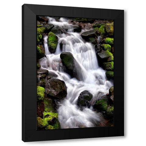 Trailside Waterfall I Black Modern Wood Framed Art Print with Double Matting by Taylor, Douglas