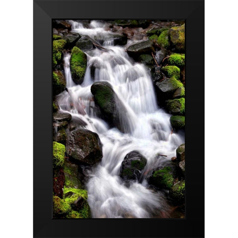 Trailside Waterfall I Black Modern Wood Framed Art Print by Taylor, Douglas