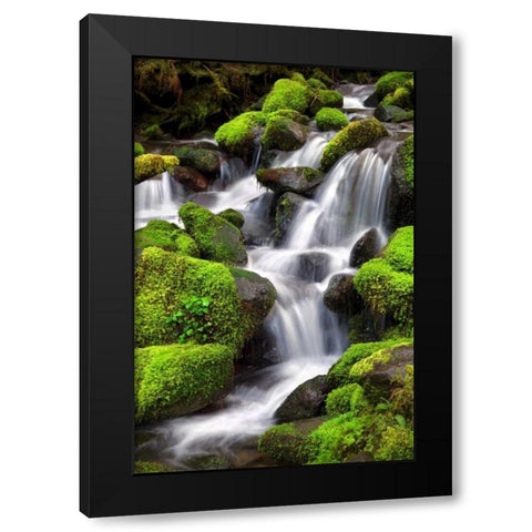 Trailside Waterfall II Black Modern Wood Framed Art Print with Double Matting by Taylor, Douglas