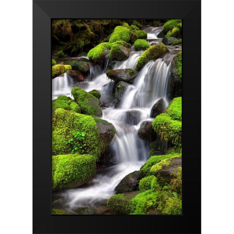 Trailside Waterfall II Black Modern Wood Framed Art Print by Taylor, Douglas