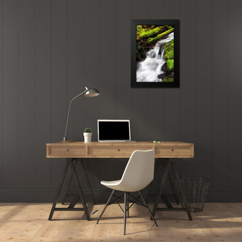 Trailside Waterfall III Black Modern Wood Framed Art Print by Taylor, Douglas