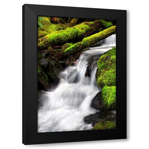 Trailside Waterfall III Black Modern Wood Framed Art Print with Double Matting by Taylor, Douglas