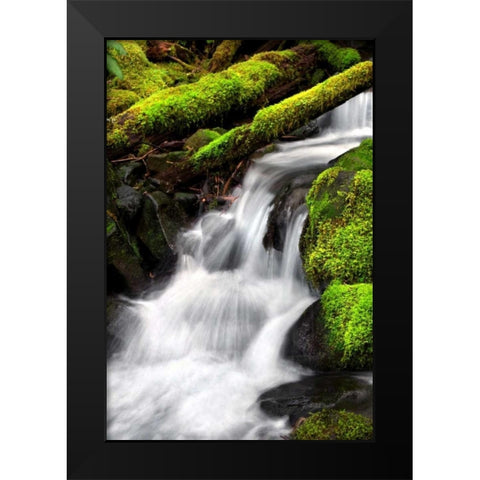 Trailside Waterfall III Black Modern Wood Framed Art Print by Taylor, Douglas