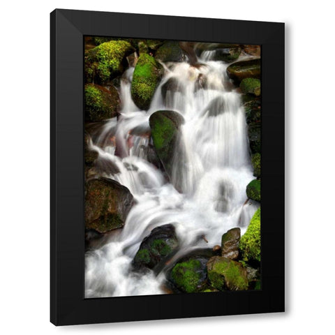 Trailside Waterfall IV Black Modern Wood Framed Art Print by Taylor, Douglas