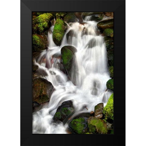 Trailside Waterfall IV Black Modern Wood Framed Art Print by Taylor, Douglas