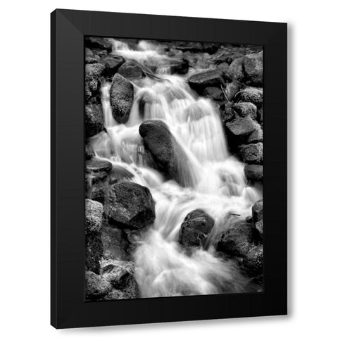 Trailside Waterfall I BW Black Modern Wood Framed Art Print with Double Matting by Taylor, Douglas