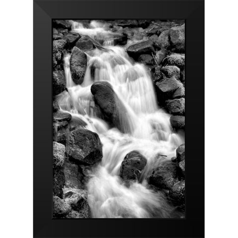 Trailside Waterfall I BW Black Modern Wood Framed Art Print by Taylor, Douglas