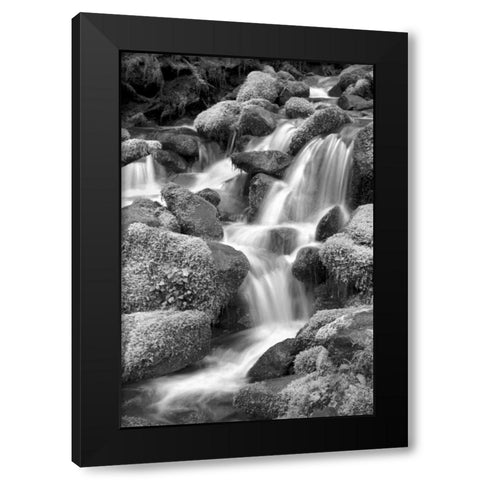 Trailside Waterfall II BW Black Modern Wood Framed Art Print with Double Matting by Taylor, Douglas
