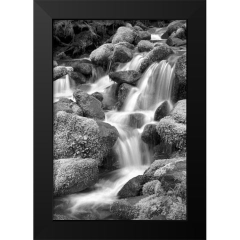 Trailside Waterfall II BW Black Modern Wood Framed Art Print by Taylor, Douglas