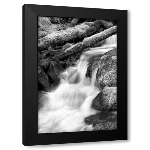 Trailside Waterfall III BW Black Modern Wood Framed Art Print by Taylor, Douglas